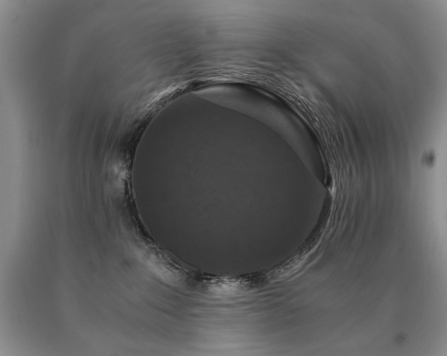X0000091060235200708061248