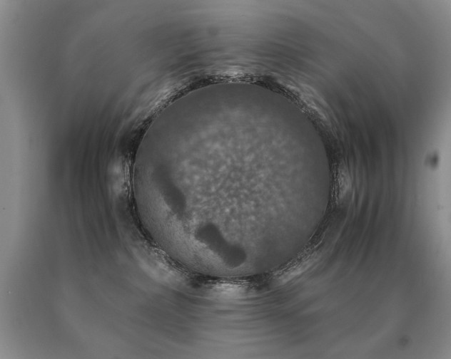 X0000091060236200708061248