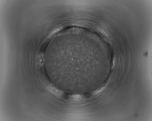 X0000091060237200708061248