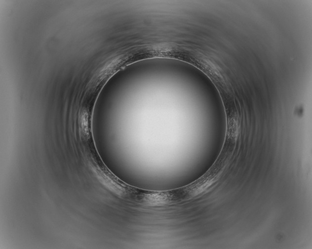 X0000091060238200708061248