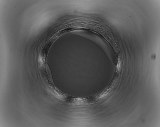 X0000091060239200708061248