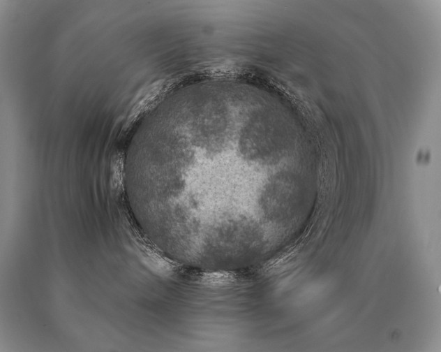 X0000091060240200708061248