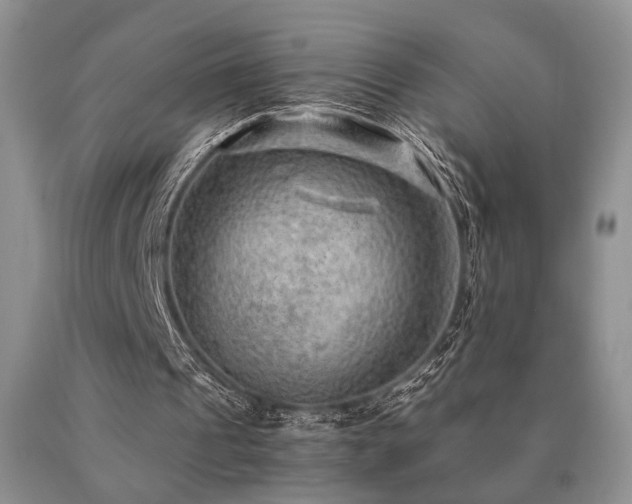 X0000091060241200708061247