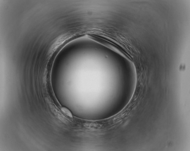 X0000091060242200708061247