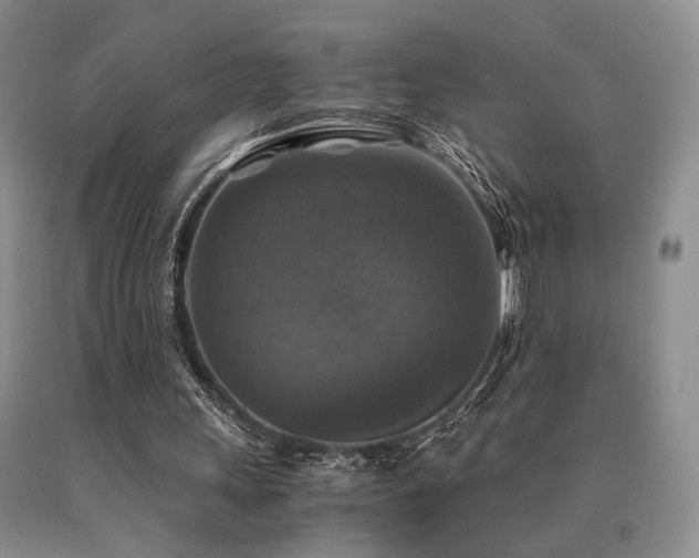 X0000091060243200708061247