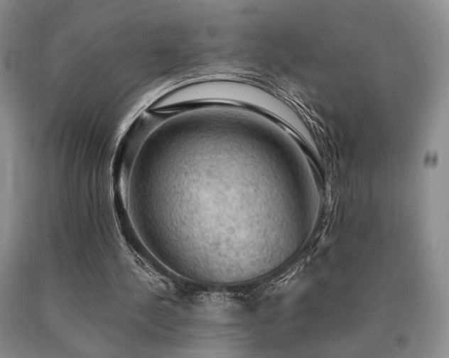 X0000091060244200708061247