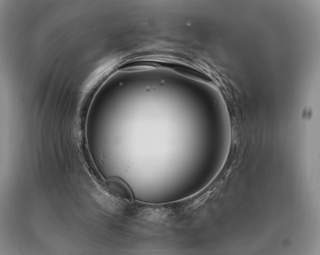 X0000091060245200708061247
