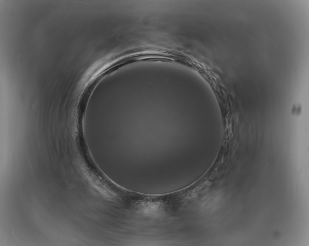 X0000091060247200708061247