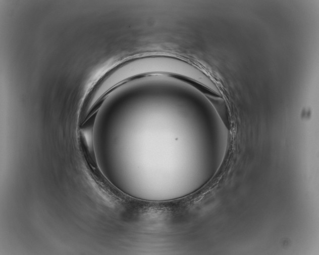 X0000091060248200708061247
