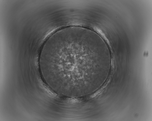 X0000091060249200708061247