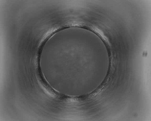 X0000091060250200708061248