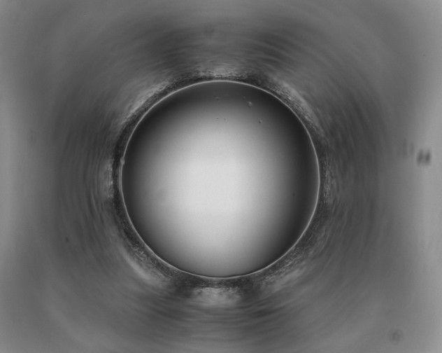 X0000091060251200708061248