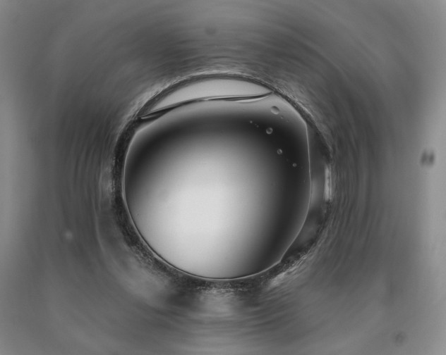X0000091060252200708061248