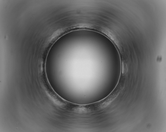 X0000091060253200708061248