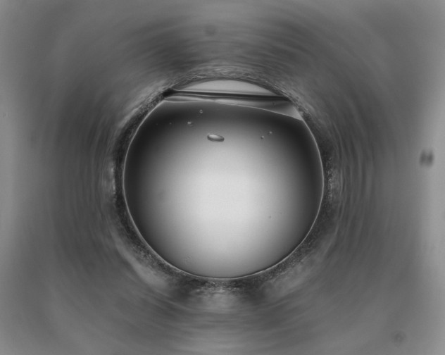 X0000091060254200708061248