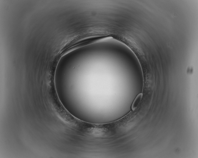 X0000091060255200708061248