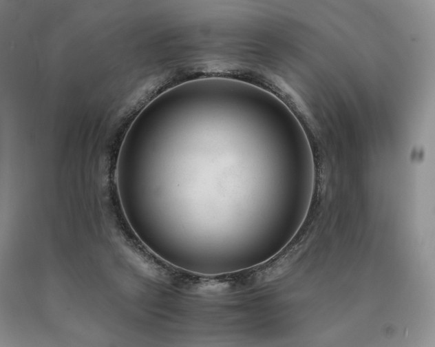 X0000091060257200708061248
