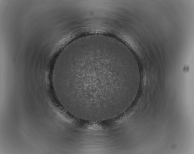 X0000091060258200708061248