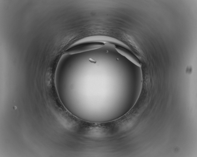 X0000091060259200708061248