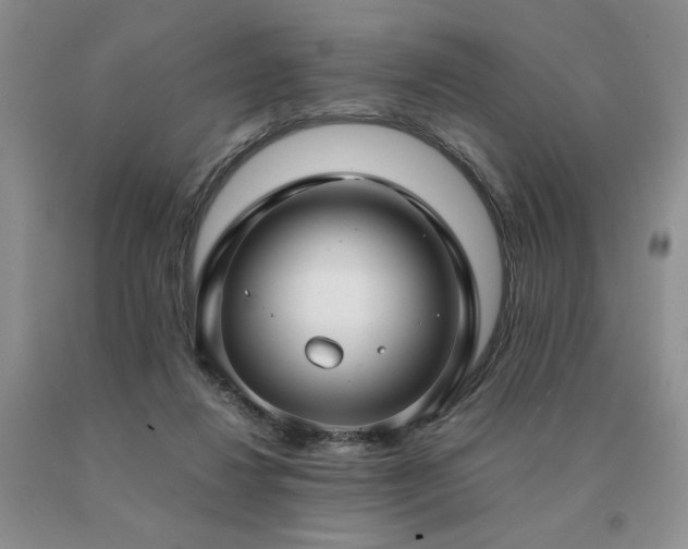 X0000091060260200708061248