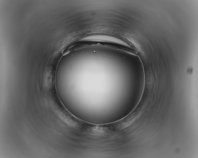 X0000091060261200708061248
