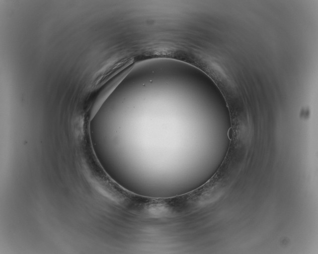 X0000091060262200708061248