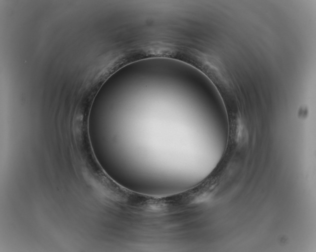 X0000091060263200708061248