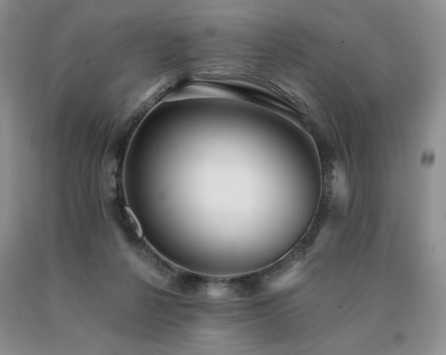 X0000091060264200708061248