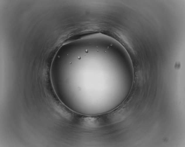 X0000091060265200708061248
