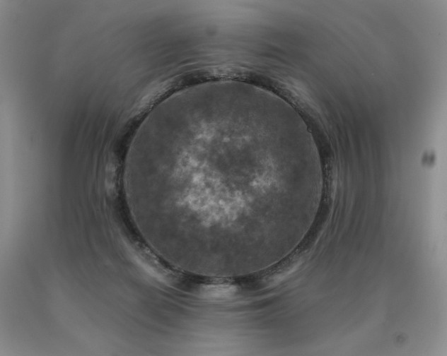 X0000091060266200708061248