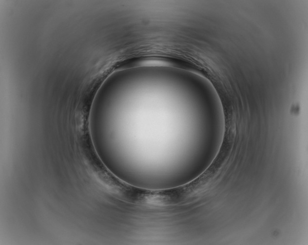 X0000091060268200708061248