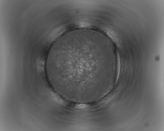 X0000091060269200708061248