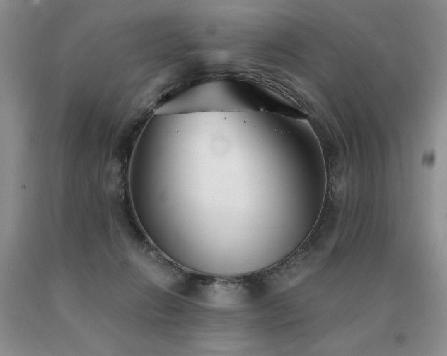 X0000091060270200708061248