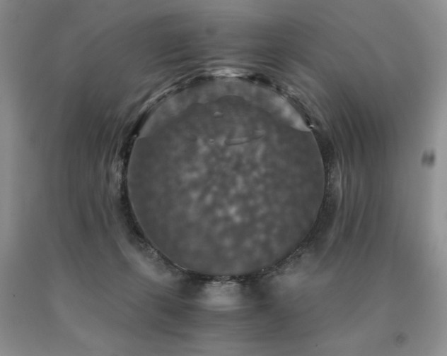 X0000091060271200708061248
