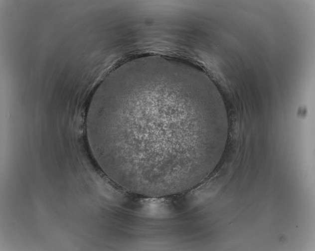 X0000091060273200708061248