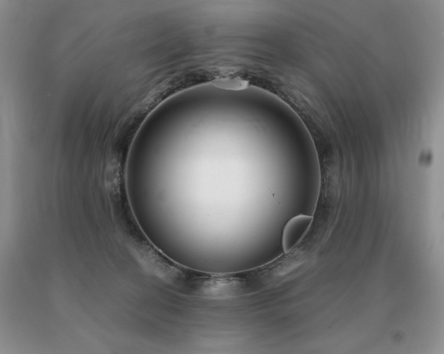 X0000091060274200708061248