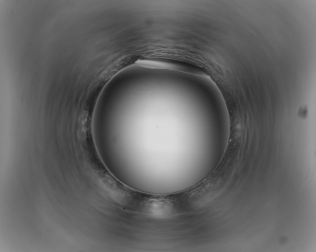 X0000091060275200708061248