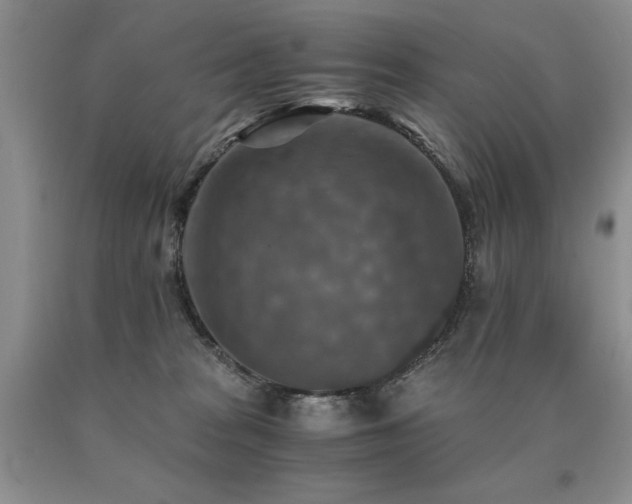 X0000091060277200708061248