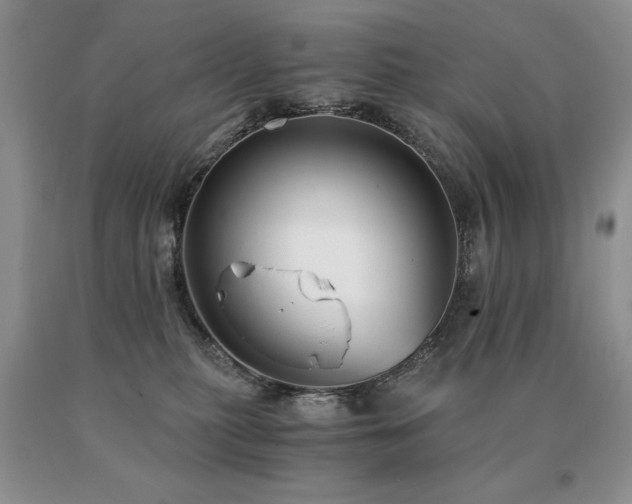 X0000091060279200708061248