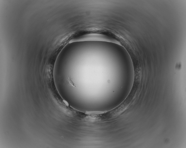 X0000091060280200708061248