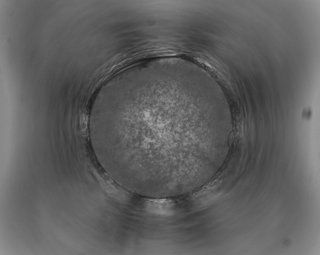 X0000091060281200708061248