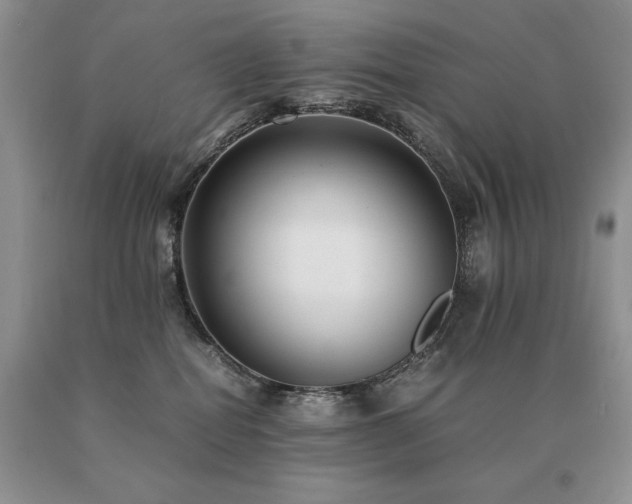 X0000091060282200708061248