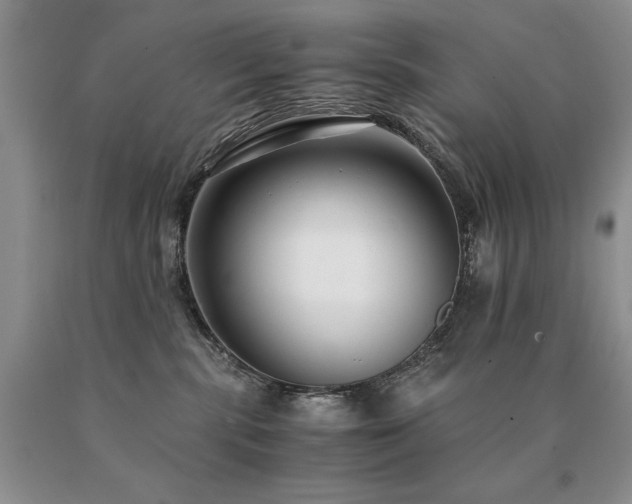 X0000091060283200708061248