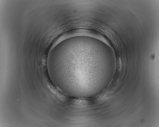 X0000091060284200708061248