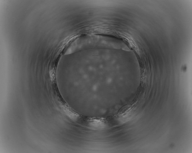 X0000091060285200708061248