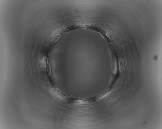 X0000091060286200708061248
