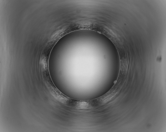 X0000091060287200708061248