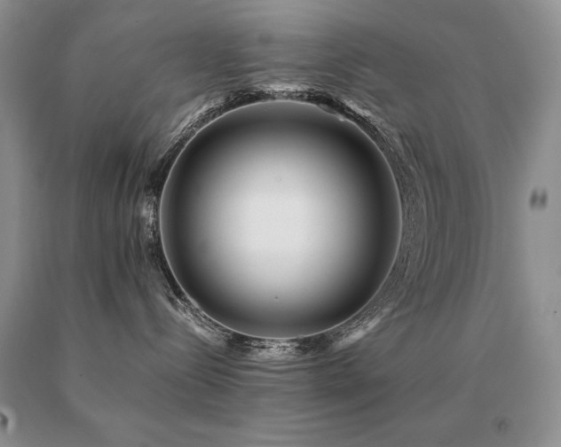 X0000091060288200708061248