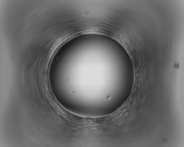 X0000091060289200708061247