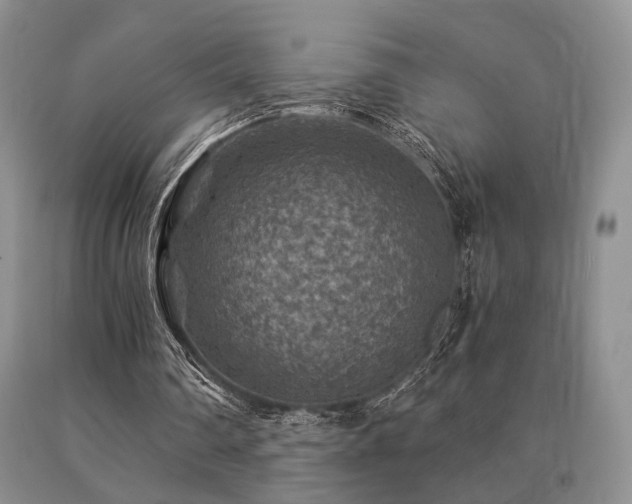 X0000091060290200708061247